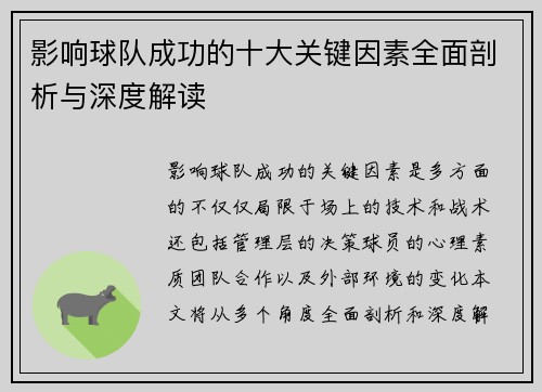 影响球队成功的十大关键因素全面剖析与深度解读