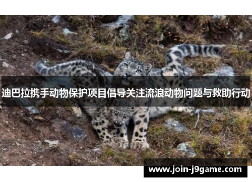 迪巴拉携手动物保护项目倡导关注流浪动物问题与救助行动