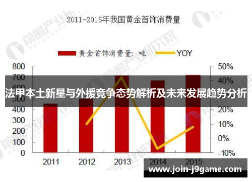法甲本土新星与外援竞争态势解析及未来发展趋势分析